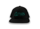 Hat - Snapback, Flat Brim, Baseball Series