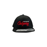 Hat - Snapback, Flat Brim, Retro Script