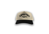 Hat- Valucap, Curved Brim, Backwards Calgary