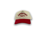 Hat- Valucap, Curved Brim, Backwards Calgary